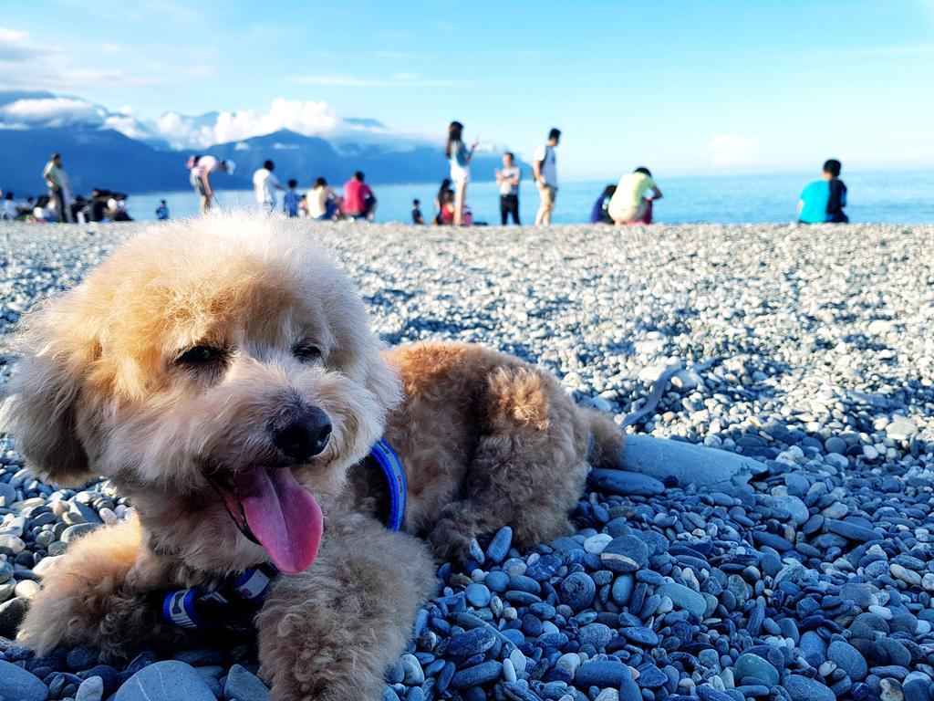 Bearbear Homestay Hualien City Ngoại thất bức ảnh