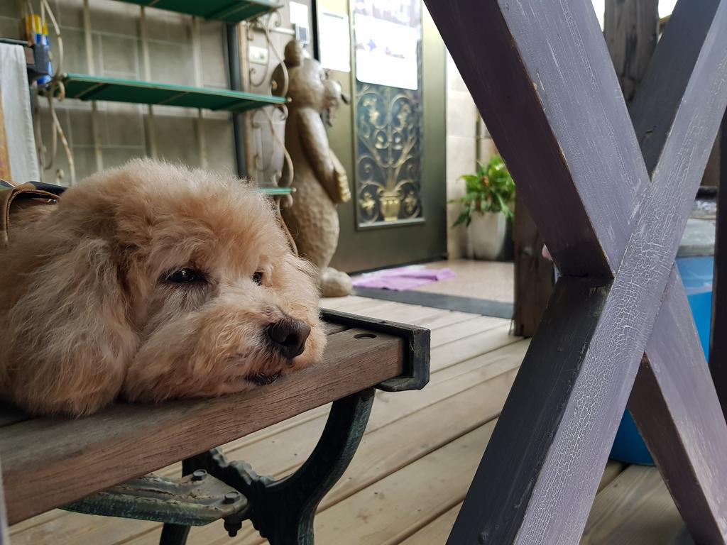 Bearbear Homestay Hualien City Ngoại thất bức ảnh