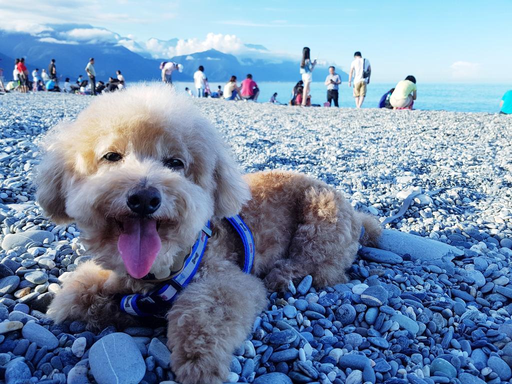 Bearbear Homestay Hualien City Ngoại thất bức ảnh